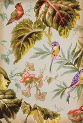 Pagina ritagliata da un libro di campioni di carta da parati, 1885-90